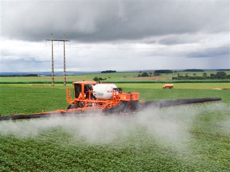 Agricultores têm novas alternativas de defensivos de baixo impacto para