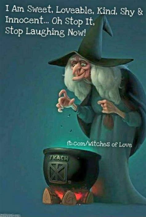 73 Best Witch Humor Images On Pinterest Halloween Cartoons Halloween