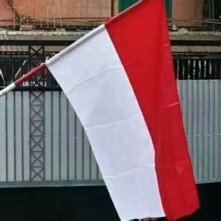 Jual Bendera Merah Putih Ukuran Perumahan Perkantoran Indonesia Shopee