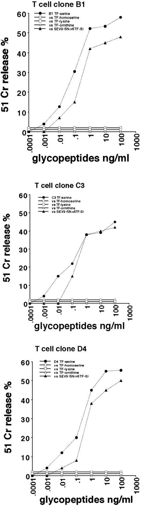 Fine Specificity Of Tf Specific Ctl Clones The Fine Specificity Of