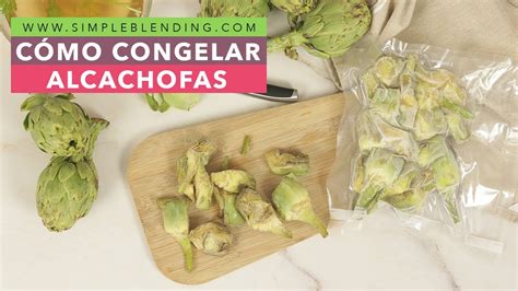 C Mo Congelar Alcachofas Congelaci N Casera De Alcachofas Frescas En