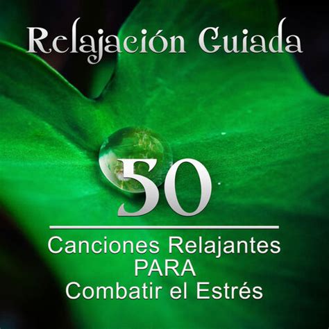 Meditación Música Ambiente Relajación Guiada 50 Canciones Relajantes