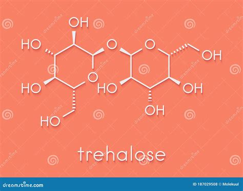 Trehalose Molecule D Molecular Structure Ball And Stick Model