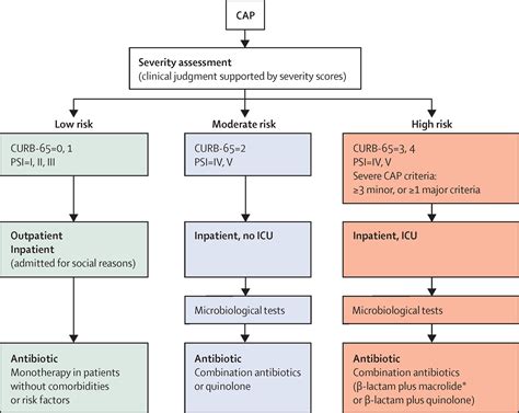 Community Acquired Pneumonia The Lancet