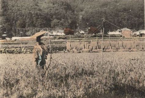 明治の農村の姿はこんなふうだった【画像】 風景 江戸 写真 歴史