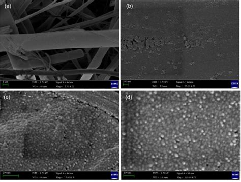 Sem Images Of Maghemite Glass Nanocomposite A Magnification K B