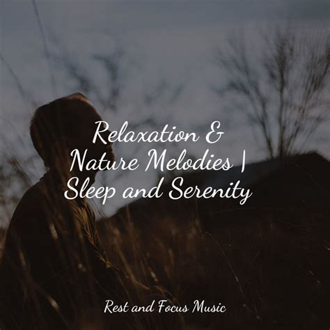 Relaxation And Nature Melodies Sleep And Serenity Album By Nature