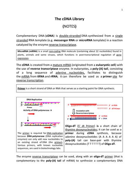 C DNA Library Notes The CDNA Library NOTES Complementary DNA CDNA