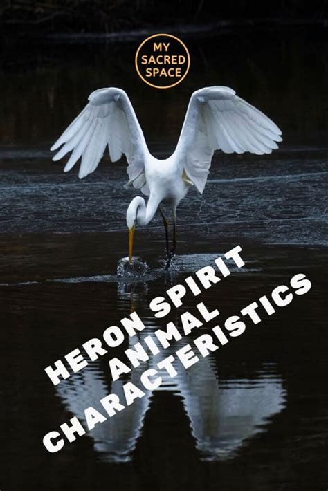 What Does A Heron Spirit Animal Mean And Symbolize