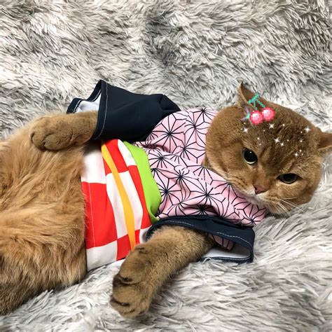 Nezuko Costume Pet Set