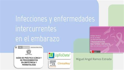 Infecciones Y Enfermedades Intercurrentes En El Embarazo Miguel Angel