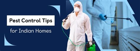 Effective Pest Control Tips For Homes In India Expert Guide 2024