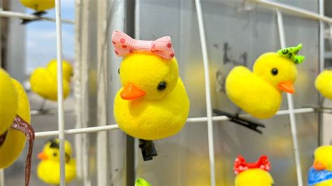 Patitos De La Feria Se Ponen Muy Coquette La Silla Rota