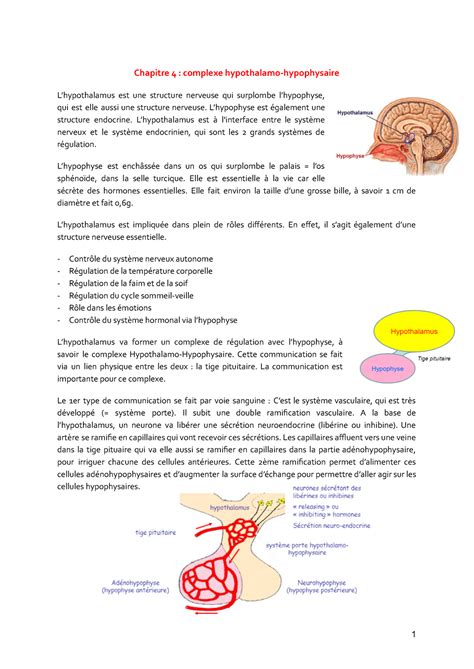 R Gulation Physio Chapitre Complexe Hypothalamo Hypophysaire