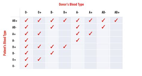 Haemophilia and Blood: Which blood types are compatible with your blood type?