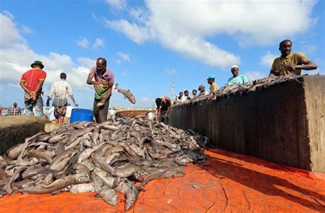 Fishing Season in Somalia