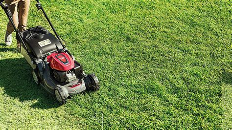 Honda HRX Push Self Propelled Lawn Mower Range Honda UK