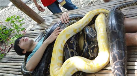 Foto Destinasi Wisata Halal Filipina Tetangga Indonesia Yang Ramah