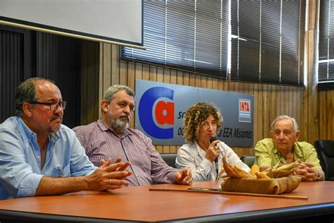 Presentaron Bautista Inta Una Variedad De Ma Z Adaptada A Las Chacras