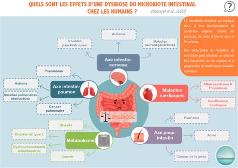 INFOGRAPHIE Conséquences d une dysbiose du microbiote sur la santé