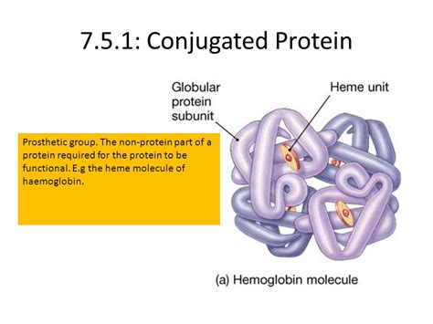 Introductory Biology 1 5 Major Organic Molecules