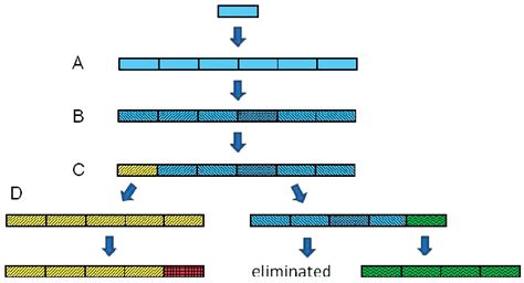 The Two Phases In Satellite Dna Evolution And Diversification Of