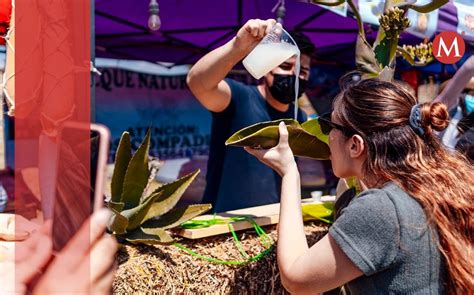 Conoce Las Ferias De Pulque En El Edomex Grupo Milenio