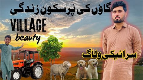 Beautiful Village Life In Pakistan Village Ki Sada Zindagi Faisal