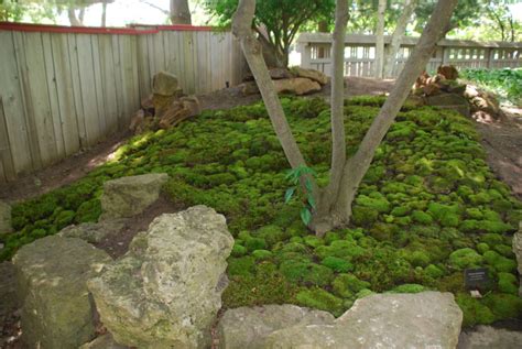 Constructing The Moss Gardens At Rotary Botanical Gardens Rotary