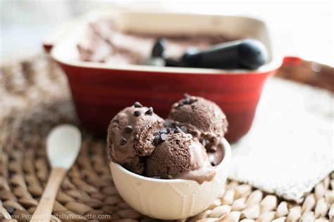 Protein Treats By Nicolette Chocolate Banana Protein Ice Cream