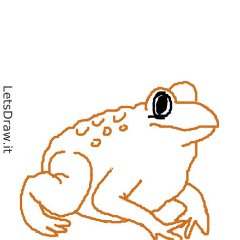 How To Draw Toad H Mx Uaz Png Letsdrawit