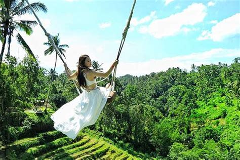 Aloha Swing Bali Bliss Tours Bali Package Tours