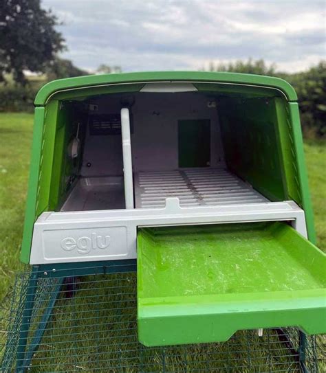 Modern Omlet Eglu Chicken Coops Ranked Reviewed For