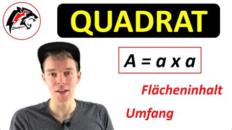 Quadrat Fl Cheninhalt Umfang Mathe Tutorial Youtube