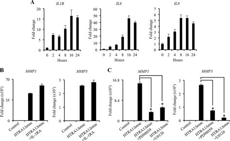 Detrimental Role For Human High Temperature Requirement Serine Protease