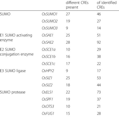 Cis Acting Regulatory Elements Cres In The Promoter Of Genes Involved