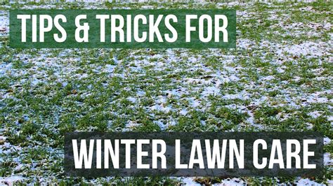 How To Do Winter Lawn Maintenance Winter Lawn Care Tips Youtube