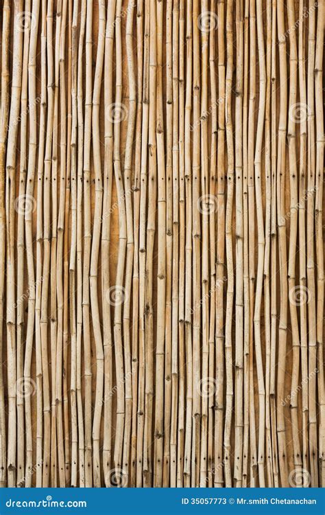 Textura De Bambu Imagem De Stock Imagem De Filial Haste 35057773