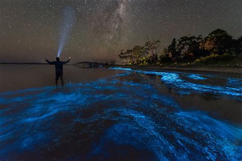 Blue Lagoon At Night Jamaica