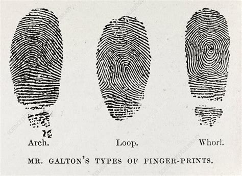 Major Events In Forensic Science Timeline Timetoast Timelines