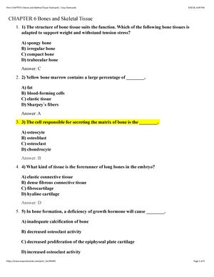 Chapter Fundamentals Of The Nervous System And Nervous Tissue