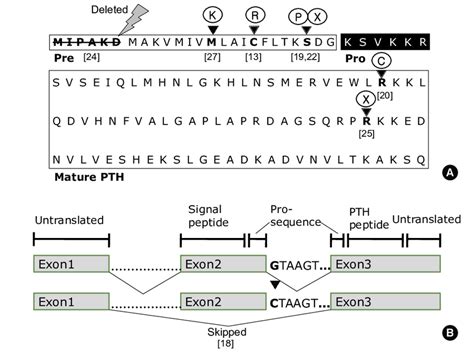 A Primary Sequence Of Human Parathyroid Hormone Pth And