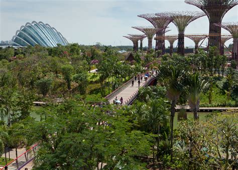 Gardens By The Bay By Grant Associates And Wilkinson Eyre Architects