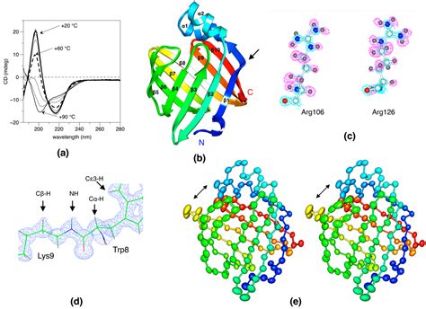 Protein Crystal Structure