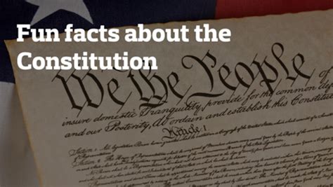 Infographic Us Constitution Facts Homeschooling Teen