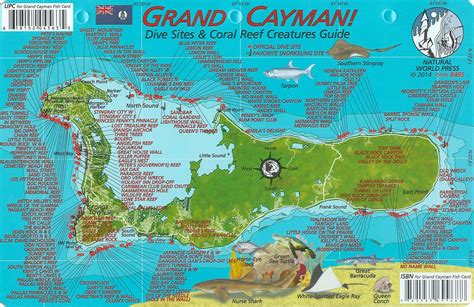 Grand Cayman Island Printable Map