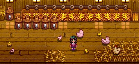 The Best Chicken Mods For Stardew Valley (All Free) – FandomSpot