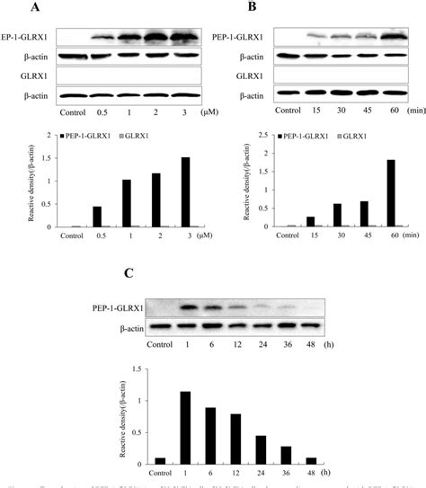 Figure From Pep Glrx Reduces Dopaminergic Neuronal Cell Loss By