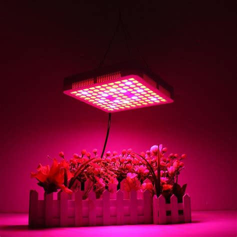 Best Led Grow Lights For Vegetables How To Choose The Right One