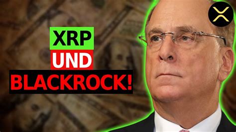 Larry Fink Blackrock Ceo Warum Du Nie Deine Xrp Verkaufen Darfst